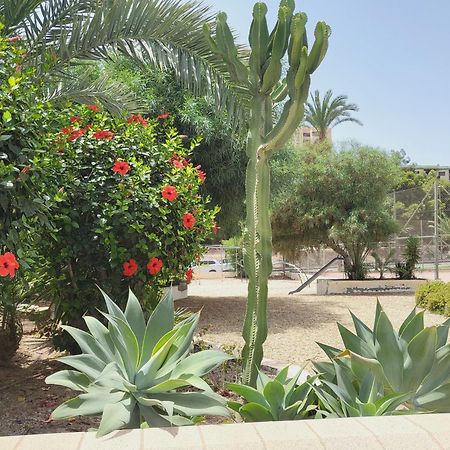 Loft Soul & Sea Apartment Aguadulce  Exterior foto